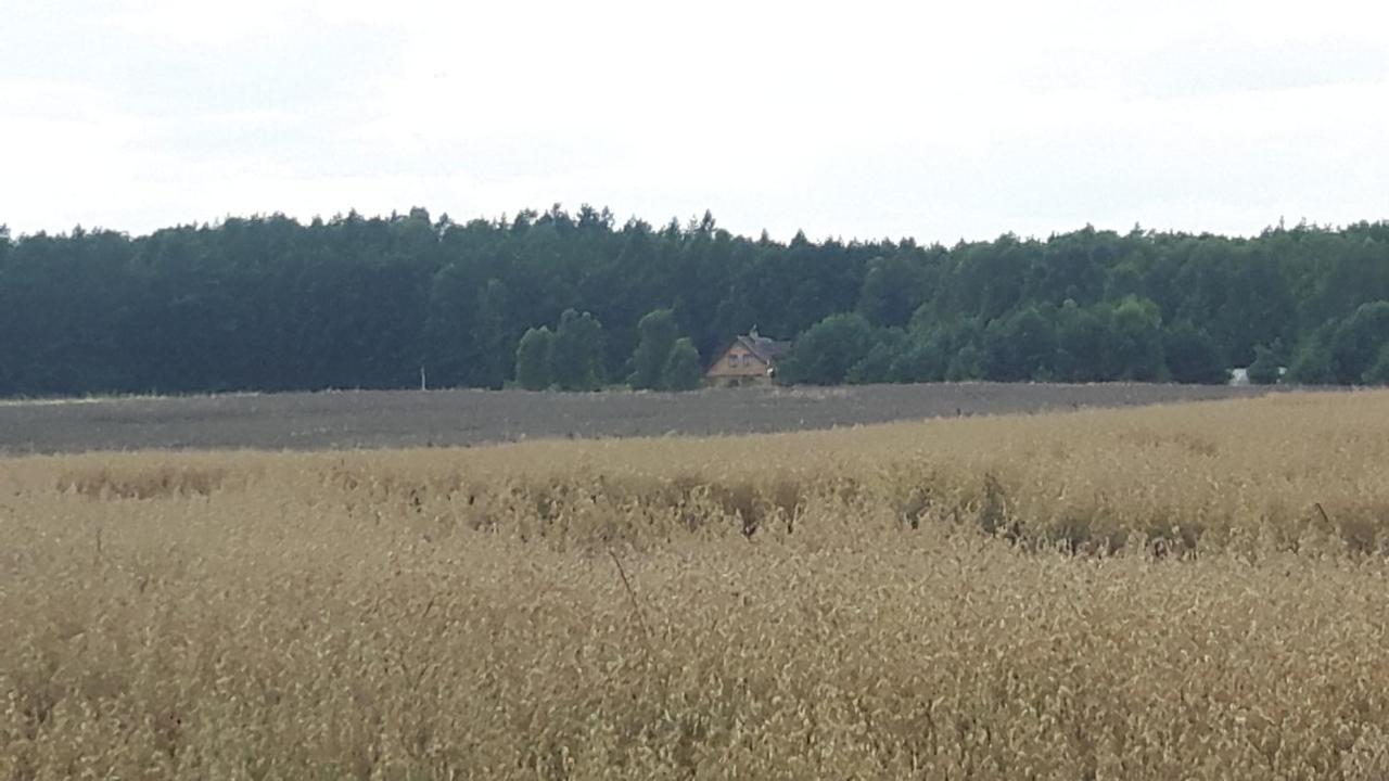 Winnica Debogora Dobiegniew エクステリア 写真