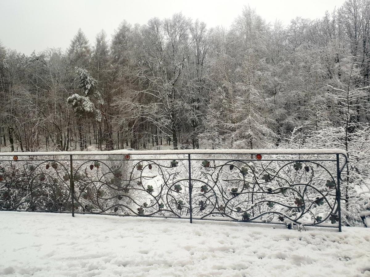 Winnica Debogora Dobiegniew エクステリア 写真